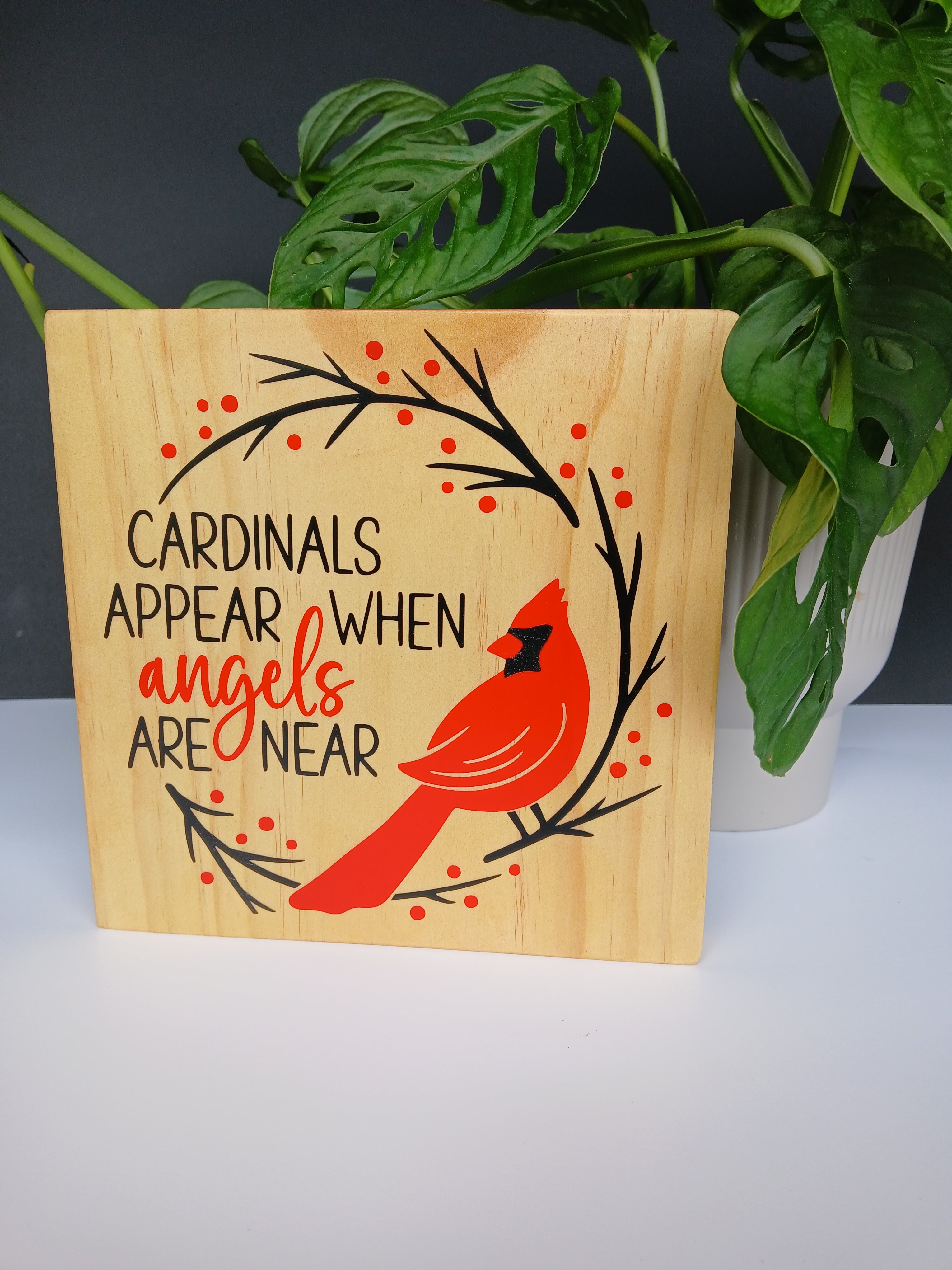 Cardinals appear
