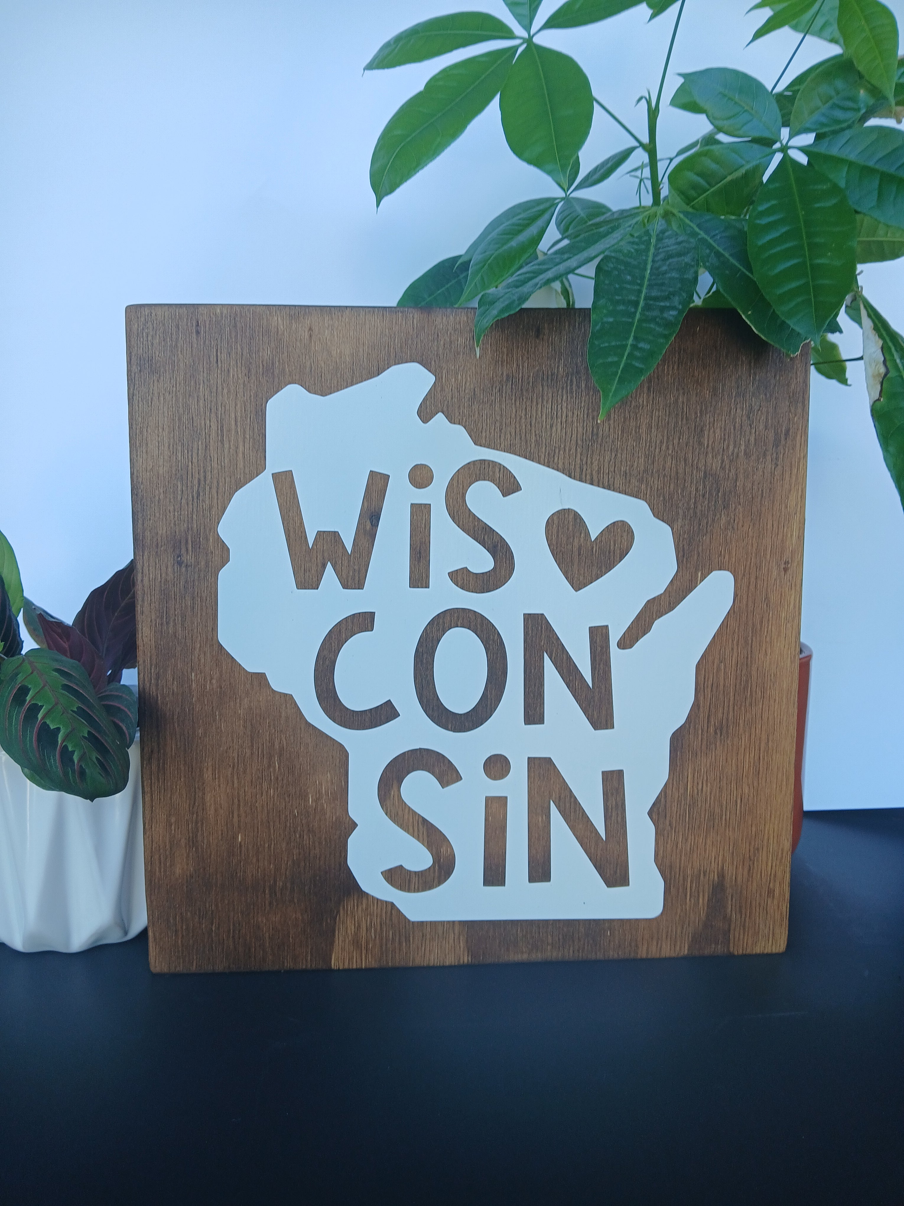 Wisconsin 11×11